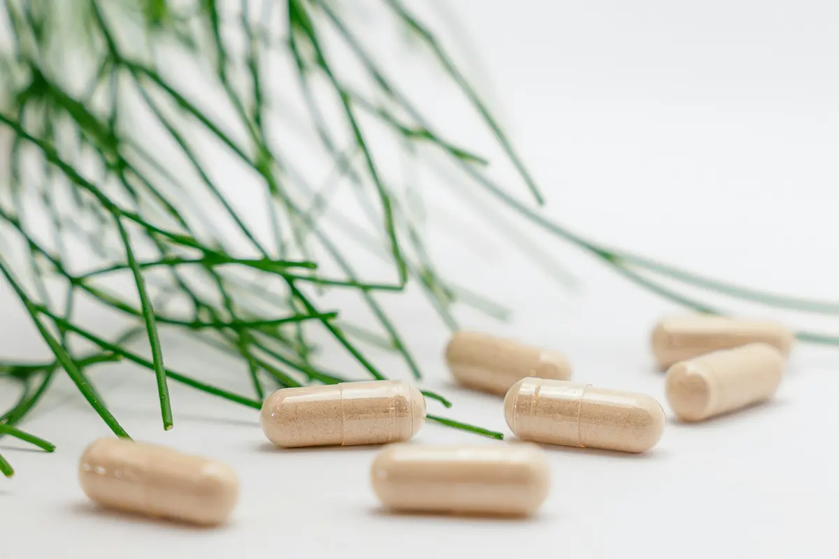 Beige supplement capsules on a white surface beside green pine needles