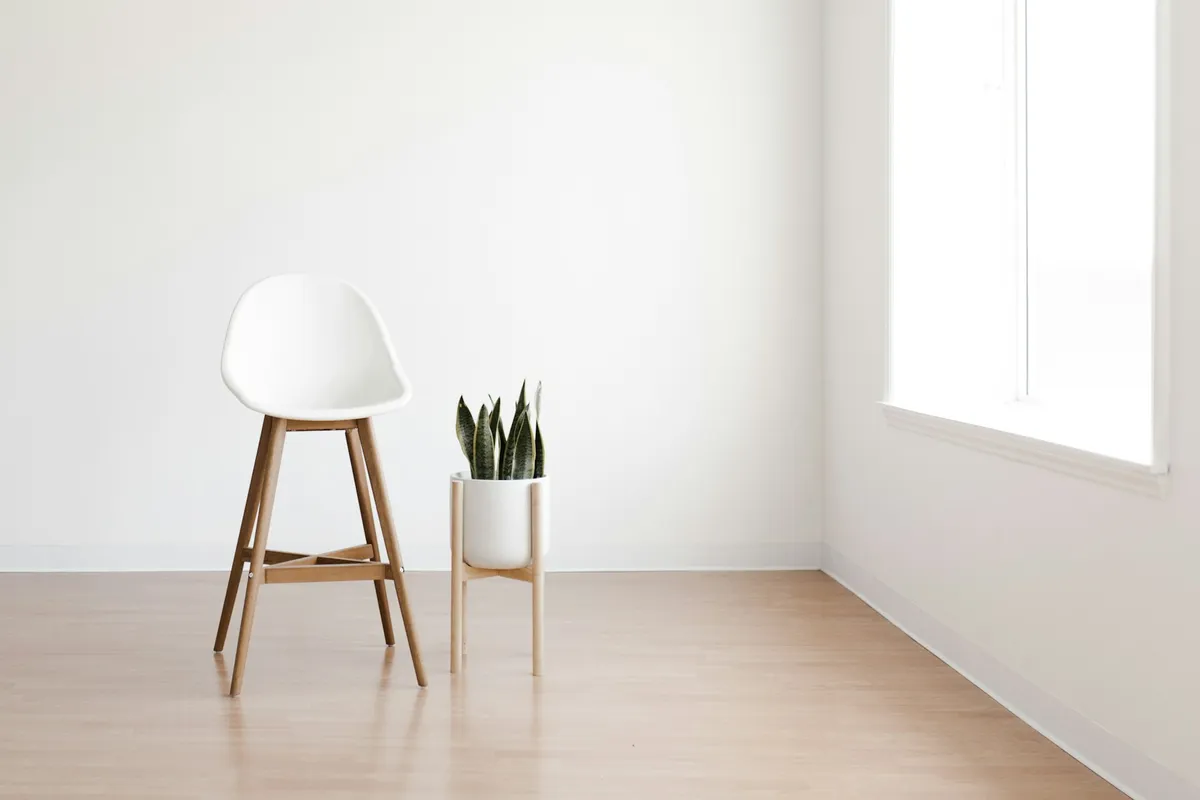 White stool with wooden legs beside a potted snake plant in a bright, empty room with a wooden floor